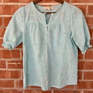 XS LOFT Sky Blue Floral Embroidered Blouse